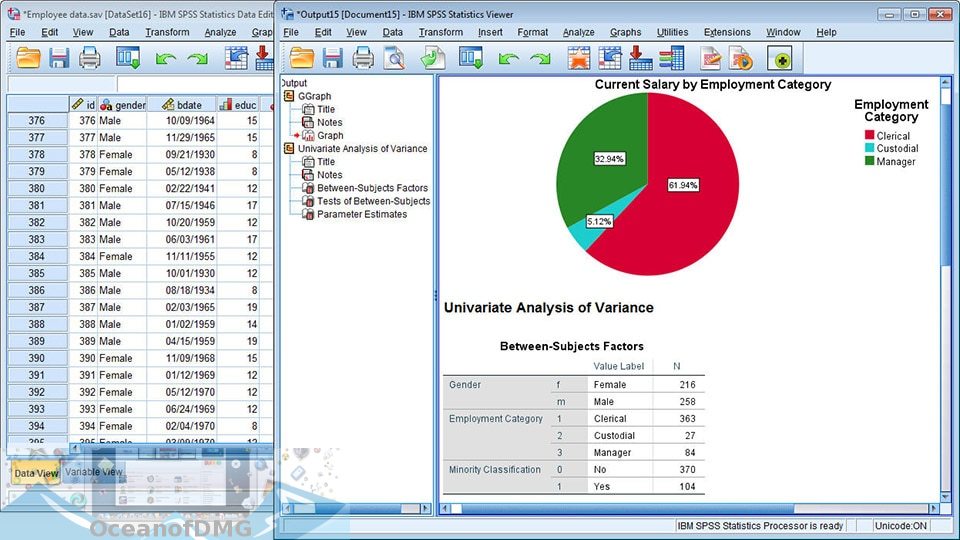 Spss 24 For Mac