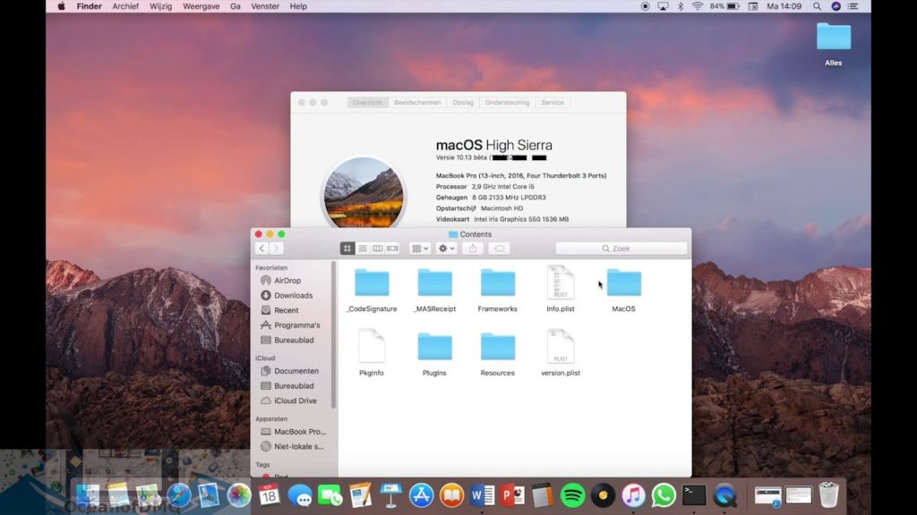 bootcamp high sierra dmg download