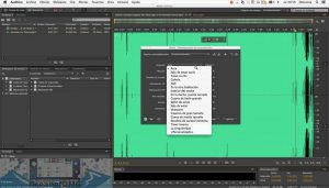 Download Adobe Audition CC 2019 for Mac OS X