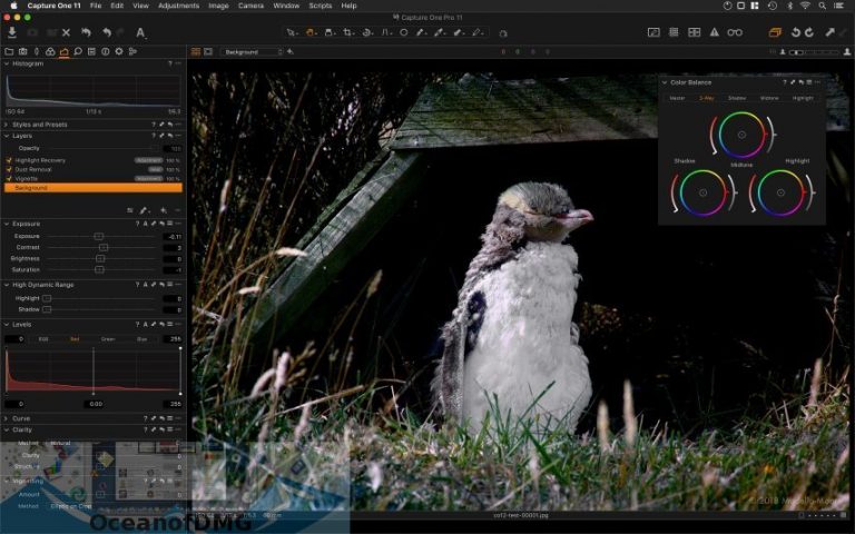 download capture one for mac