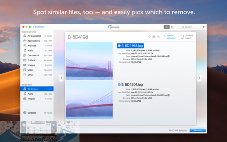 mac duplicate file finder gemini