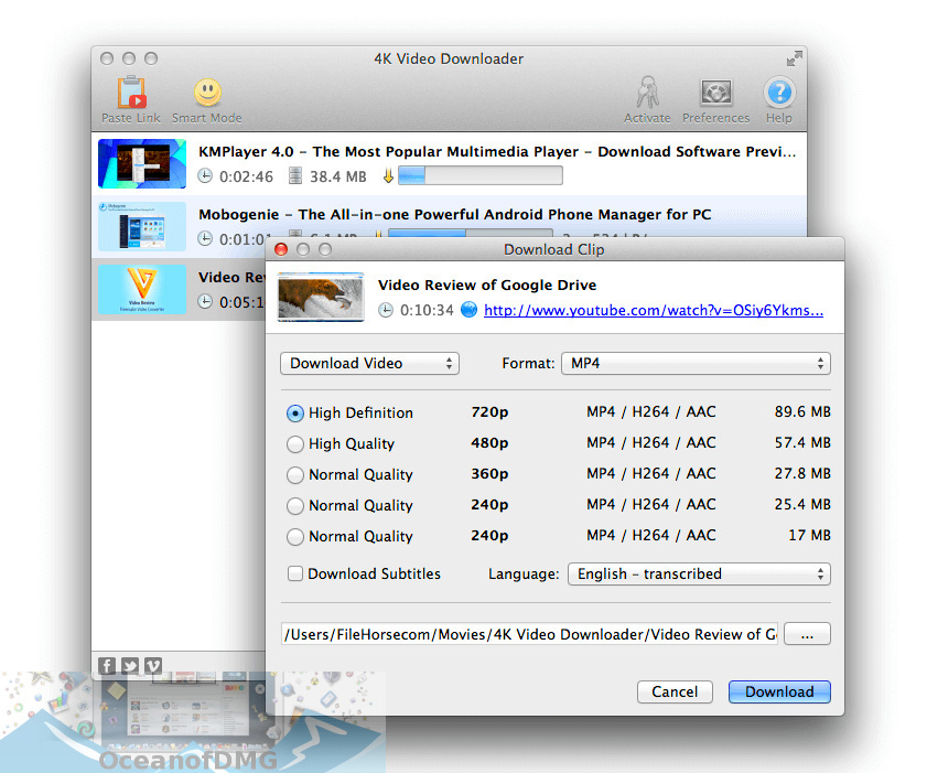video downloader for mac download torrent
