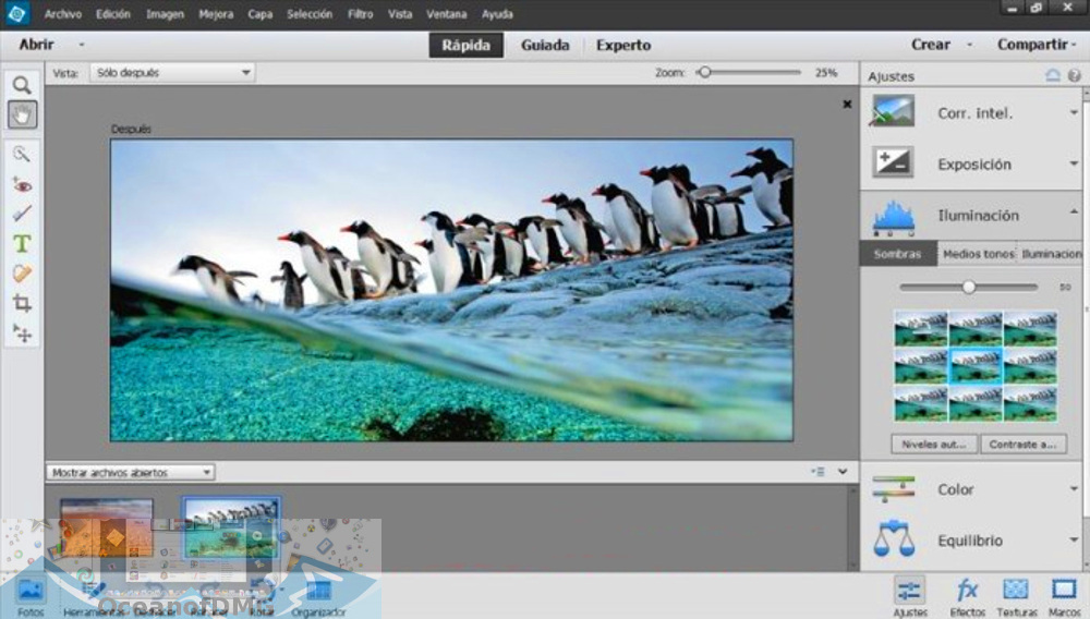 latest version of photoshop elements for mac