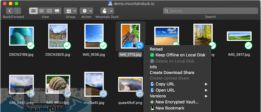 Mountain Duck for Mac Direct Link Download-OceanofDMG.com