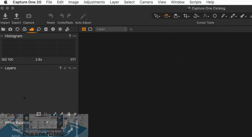 Capture One 20 Download Mac