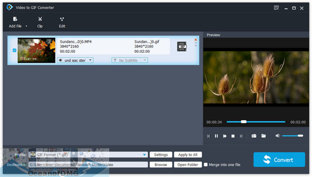 Aiseesoft Video to GIF Maker for Mac Offline Installer Download-OceanofDMG.com
