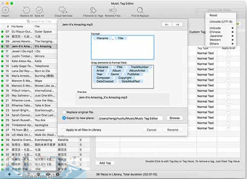 Music Tag Editor Pro for MacOSX Latest Version Download-OceanofDMG.com