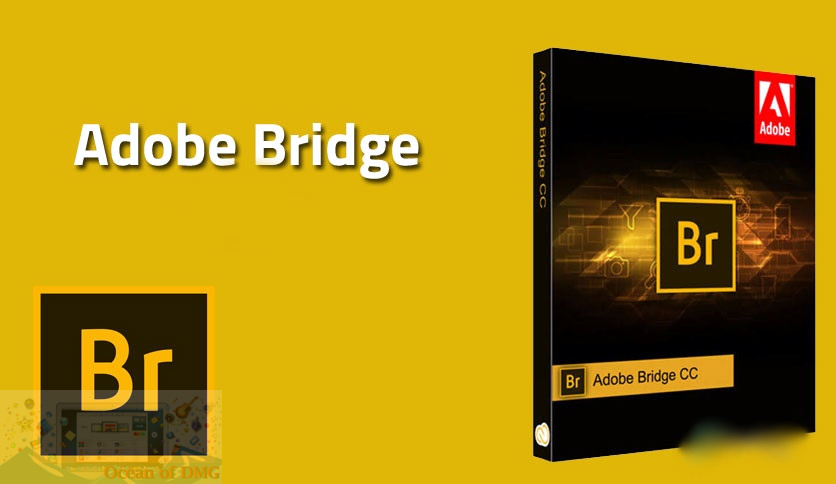 Adobe Bridge 2022 for mac Free Download