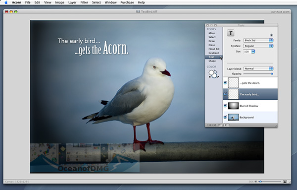 Acorn for Mac Latest Version Download