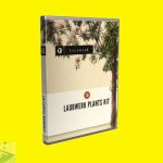 Laubwerk Plants Kit for Mac Free Download