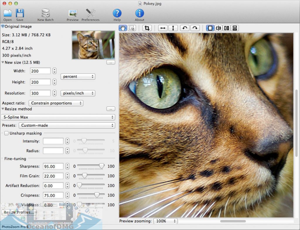 PhotoZoom Pro for Mac Latest Version Download-OceanofDMG.com