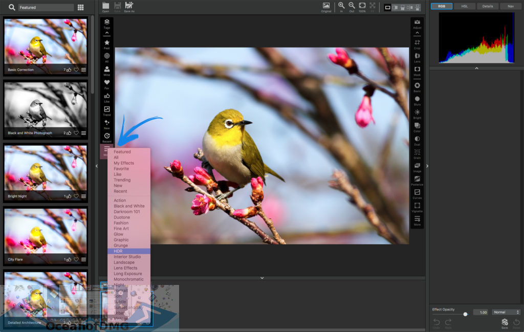 Topaz Photoshop Plugins for Mac Offline Installer Download-OceanofDMG.com