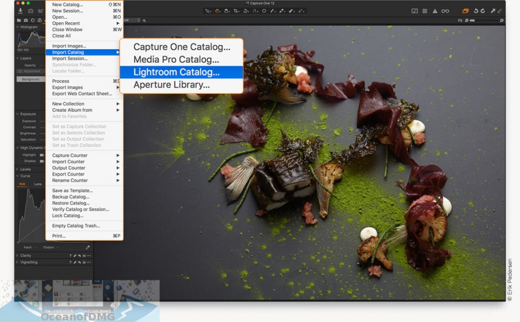 Capture One Pro 12 for Mac Direct Link Download-OceanofDMG.com
