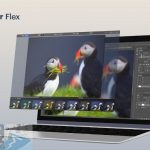 Luminar Flex for Mac Free Download-OceanofDMG.com