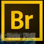 Adobe Bridge 2021 for Mac Free Download-OceanofDMG.com